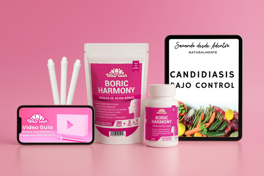 KIT BORIC HARMONY EXPRESS